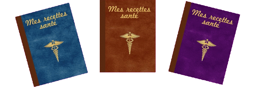 Livres vierges recettes santé